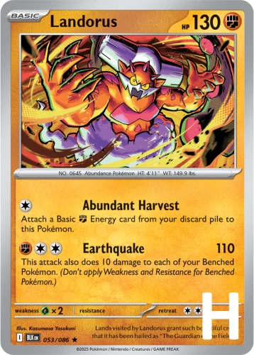 BLK-053-Landorus-holo