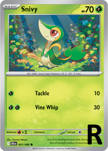 BLK-001-Snivy-reverse