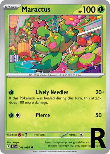 BLK-008-Maractus-reverse