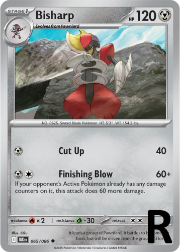 BLK-065-Bisharp-reverse