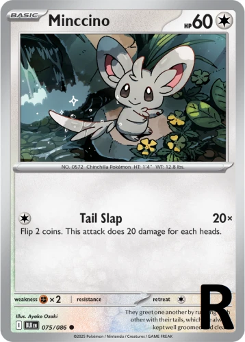 BLK-075-Minccino-reverse