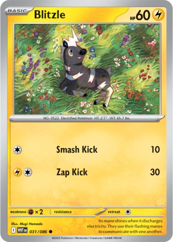 WHT-031-Blitzle