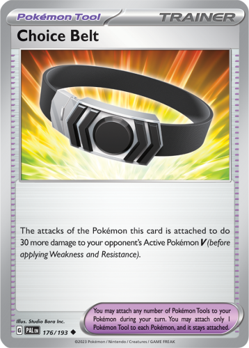PAL-176-Choice-Belt