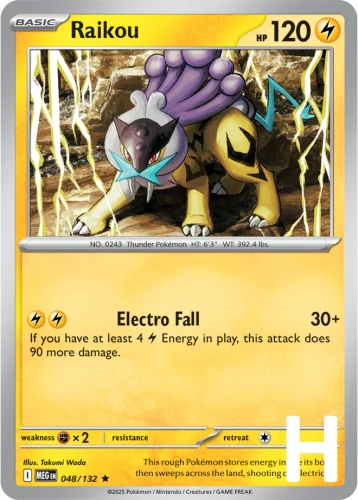 MEG-048-Raikou-holo