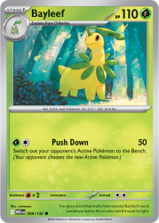 MEG-009-Bayleef