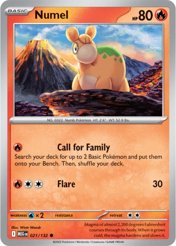 MEG-021-Numel