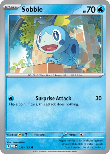 MEG-039-Sobble