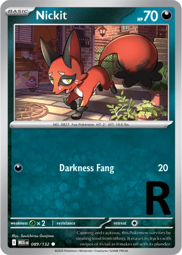 MEG-089-Nickit-reverse