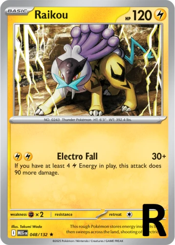 MEG-048-Raikou-reverse