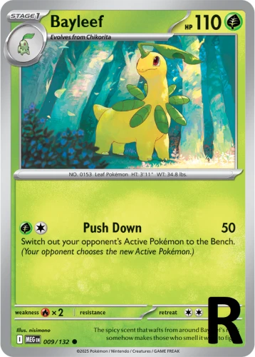 MEG-009-Bayleef-reverse