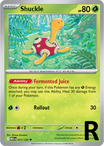MEG-011-Shuckle-reverse