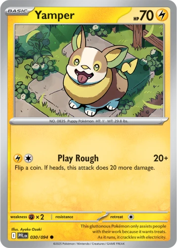 PFL-030-Yamper
