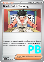 PRE-096-Black-Belt’s-Training-pokeball