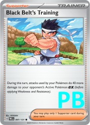 PRE-097-Black-Belt’s-Training-pokeball