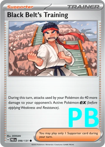 PRE-098-Black-Belt’s-Training-pokeball