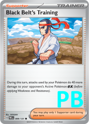 PRE-099-Black-Belt’s-Training-pokeball