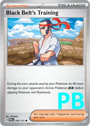 PRE-099-Black-Belt’s-Training-pokeball
