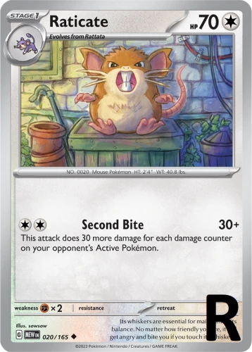 MEW-020-Raticate-reverse