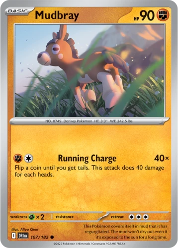 DRI-107-Mudbray
