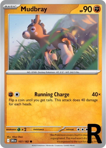 DRI-107-Mudbray-reverse