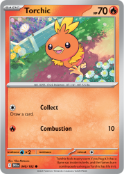 DRI-040-Torchic
