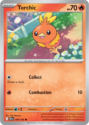 DRI-040-Torchic