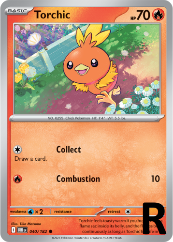 DRI-040-Torchic-reverse