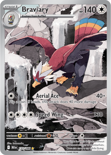 BLK-155-Braviary