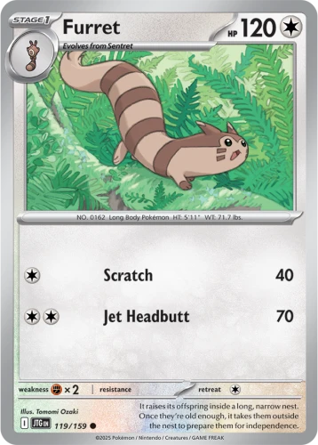 JTG-119-Furret