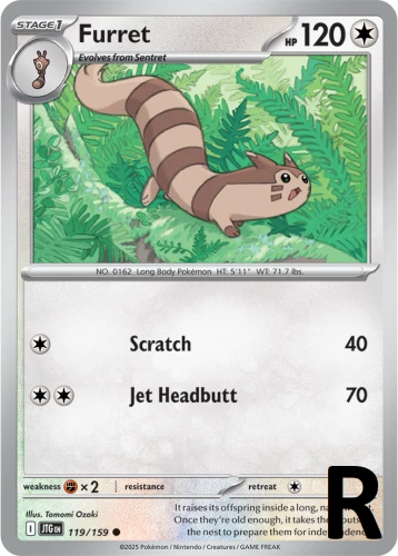 JTG-119-Furret-reverse