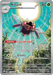 MEG-137-Ninjask