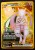 DRI-240-Team-Rocket's-Mewtwo-ex