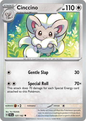 TEF-137-Cinccino