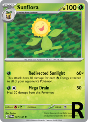 TWM-007-Sunflora-reverse