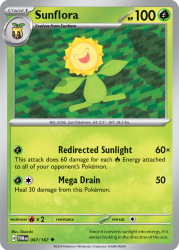 TWM-007-Sunflora