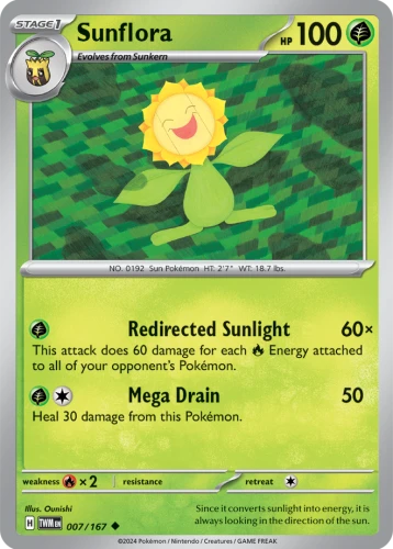 TWM-007-Sunflora