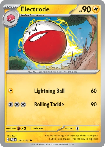 PAL-067-Electrode