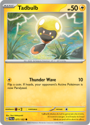 PAL-077-Tadbulb