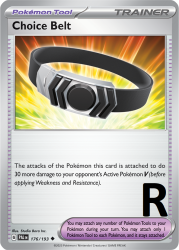 PAL-176-Choice-Belt-reverse
