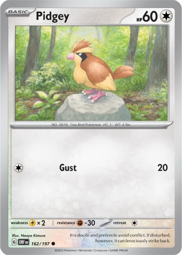 OBF-162-Pidgey