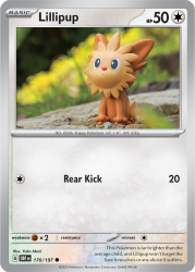 OBF-170-Lillipup