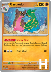 SSP-107-Gastrodon-holo