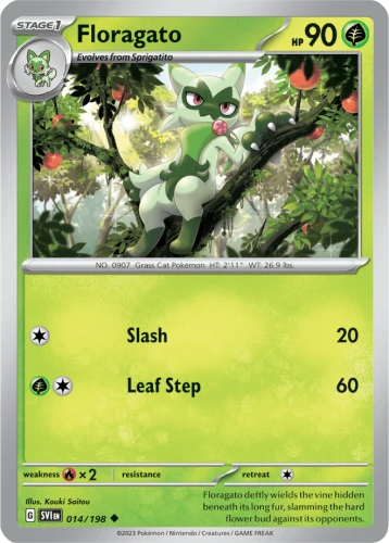 SVI-014-Floragato