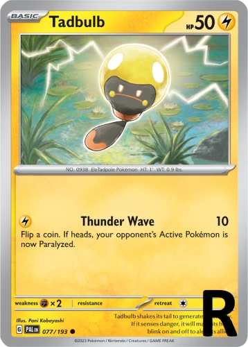 PAL-077-Tadbulb-reverse
