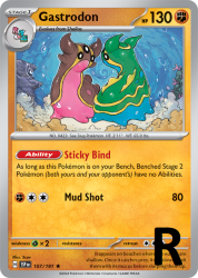 SSP-107-Gastrodon-reverse